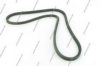 NPS M111I01 V-Ribbed Belts
